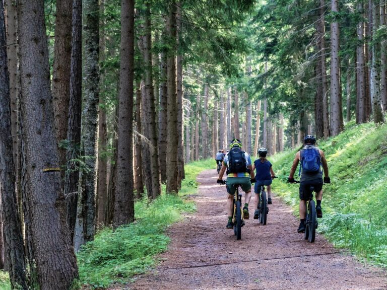 MTB-Gruppetrainings ganz individuell